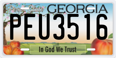 GA license plate PEU3516