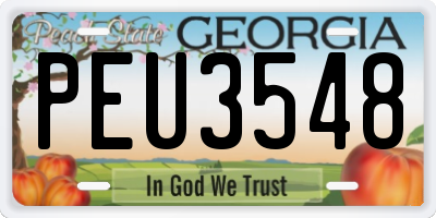 GA license plate PEU3548