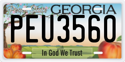 GA license plate PEU3560