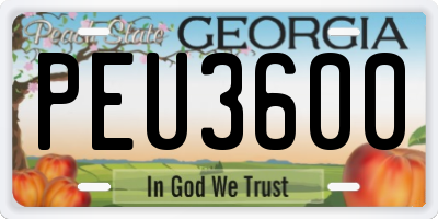 GA license plate PEU3600