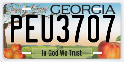 GA license plate PEU3707