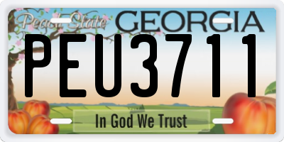 GA license plate PEU3711