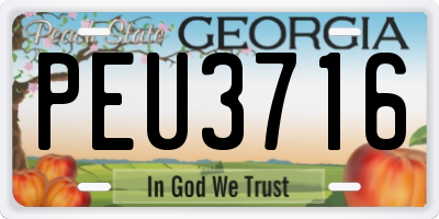 GA license plate PEU3716