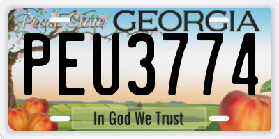 GA license plate PEU3774
