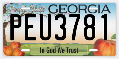 GA license plate PEU3781