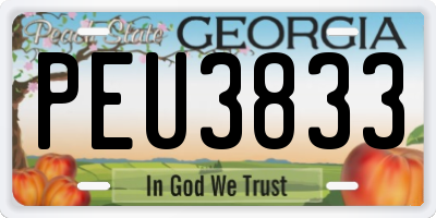 GA license plate PEU3833