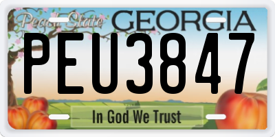 GA license plate PEU3847