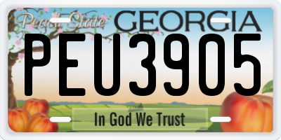GA license plate PEU3905
