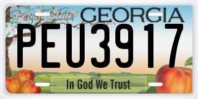 GA license plate PEU3917