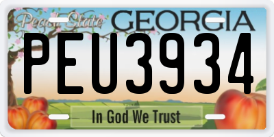 GA license plate PEU3934