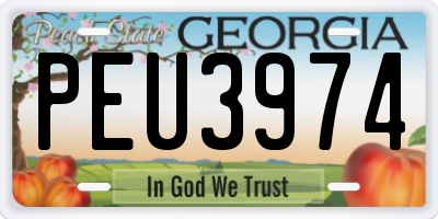 GA license plate PEU3974