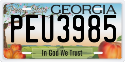 GA license plate PEU3985