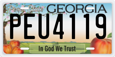 GA license plate PEU4119