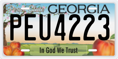 GA license plate PEU4223