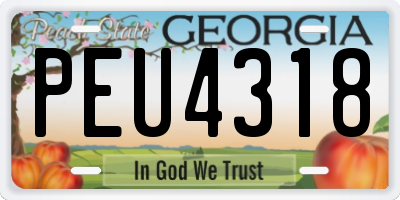 GA license plate PEU4318