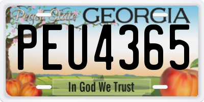 GA license plate PEU4365