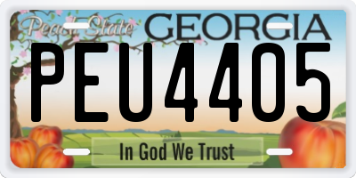 GA license plate PEU4405