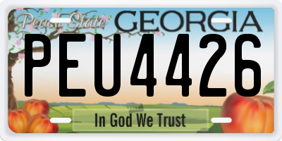 GA license plate PEU4426
