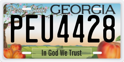 GA license plate PEU4428