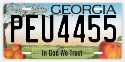 GA license plate PEU4455