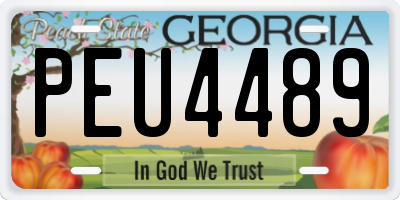 GA license plate PEU4489