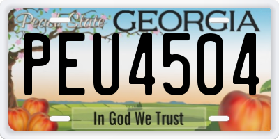 GA license plate PEU4504