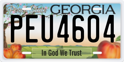 GA license plate PEU4604