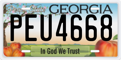 GA license plate PEU4668