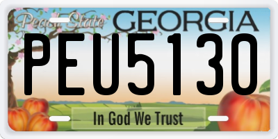 GA license plate PEU5130