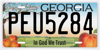 GA license plate PEU5284