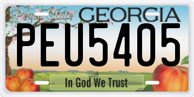 GA license plate PEU5405