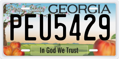 GA license plate PEU5429