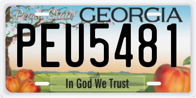 GA license plate PEU5481
