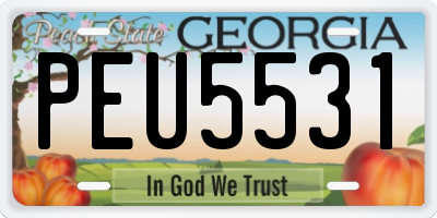 GA license plate PEU5531