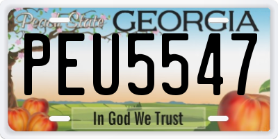 GA license plate PEU5547