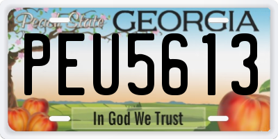 GA license plate PEU5613