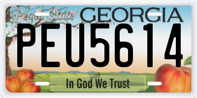 GA license plate PEU5614