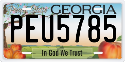 GA license plate PEU5785