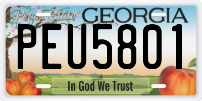 GA license plate PEU5801