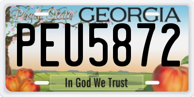 GA license plate PEU5872