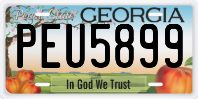 GA license plate PEU5899