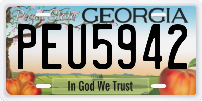 GA license plate PEU5942