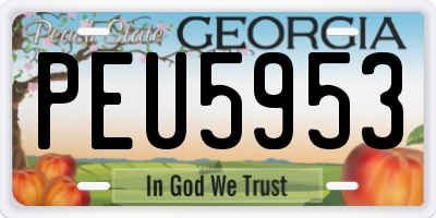 GA license plate PEU5953