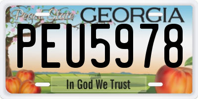 GA license plate PEU5978