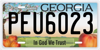 GA license plate PEU6023