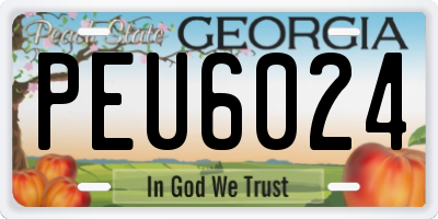 GA license plate PEU6024