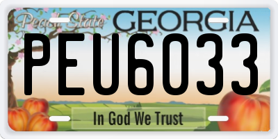 GA license plate PEU6033