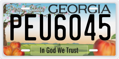 GA license plate PEU6045