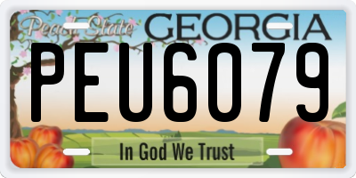 GA license plate PEU6079