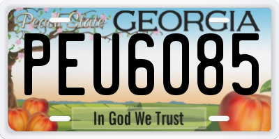 GA license plate PEU6085
